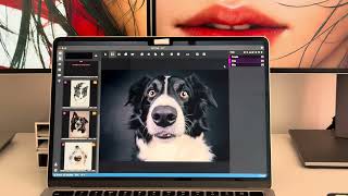VoTT 4.0(Image Annotation Tool) on macOS/Windows/Linux, Open source and FREE, Continuously improving