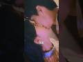 kiss nay pig🐖 bna diya 🤣🤣🤣 #love #funnyvideo #funnycdrama