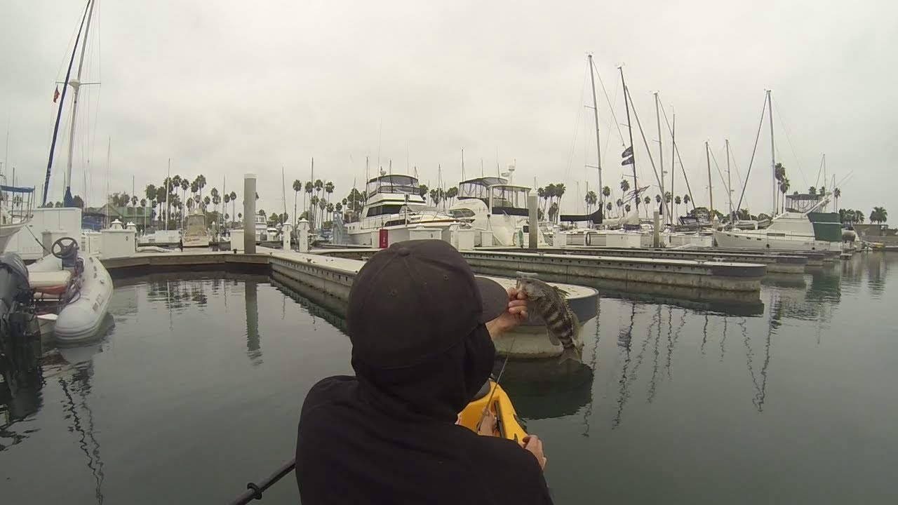 Kayak Fishing Alamitos Bay OCT 17' YouTube