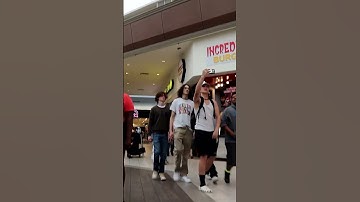 The Embarrassing Vlogger Prank! #pranks #prank #baylenlevine