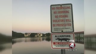 Gators near school bus stop has students and parents worried