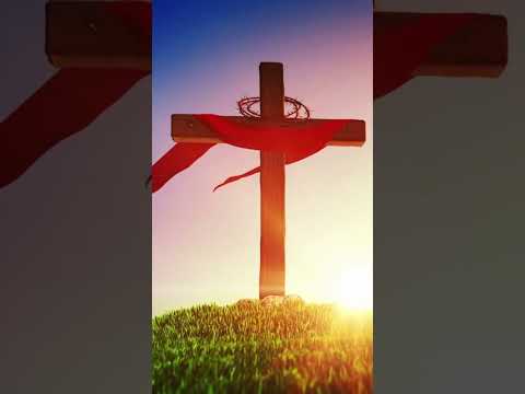 اروح عنده احط الحمل واسيبه ترنيمه اصليله ترانيم 