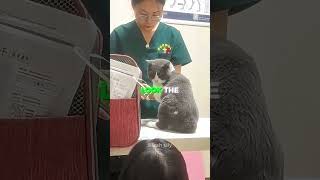 A Heartbreaking Farewell Between Them