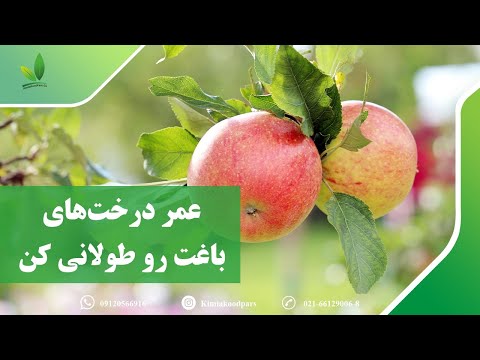عمر درخت های باغت رو طولانی کن