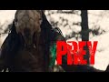 PREY (2022): Naru vs Predator – Epic Showdown! 🐾