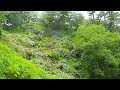 下田公園 あじさい祭(6月1日~6月30日)