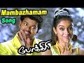 Pokkiri  scenes  mambazhamam mambazham song  pokkiri songs  vijay  asin  vadivelu