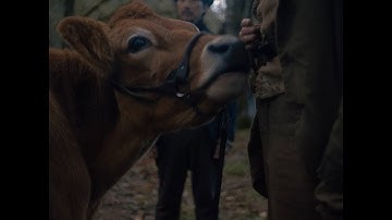 料理人と中国人移民　一頭の牛によって人生が大きく左右される　「ファースト・カウ」予告