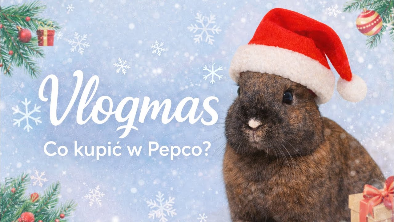 VLOGMAS: Co kupić w Pepco dla królika? ❄️🎄