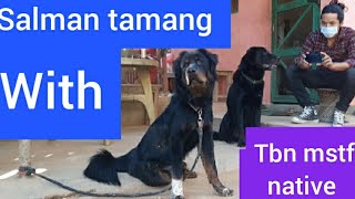 २ थरीका भोटे कुकुर हेर्नुहोस !!! Bhote Kukur In Nepal || Tibetan Mastiff In Nepal || Beauty Nature