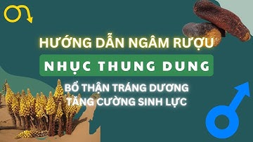 Hướng dẫn chi tiết cách ngâm rượu NHỤC THUNG DUNG chuẩn Đông y: Tăng cường sinh lực