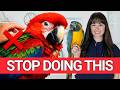 Why Parrots Get Hormonal (And What Owners Do Wrong)