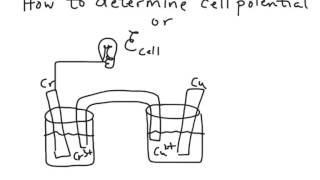 Electrochemical Cells