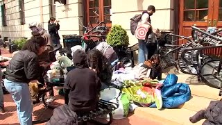 Student protesters continue occupying Hamilton Hall at Columbia University