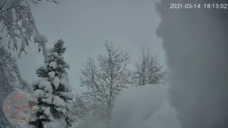 Snowlapse March 2021 Blizzard