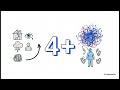Childhood Adversity &amp; Health