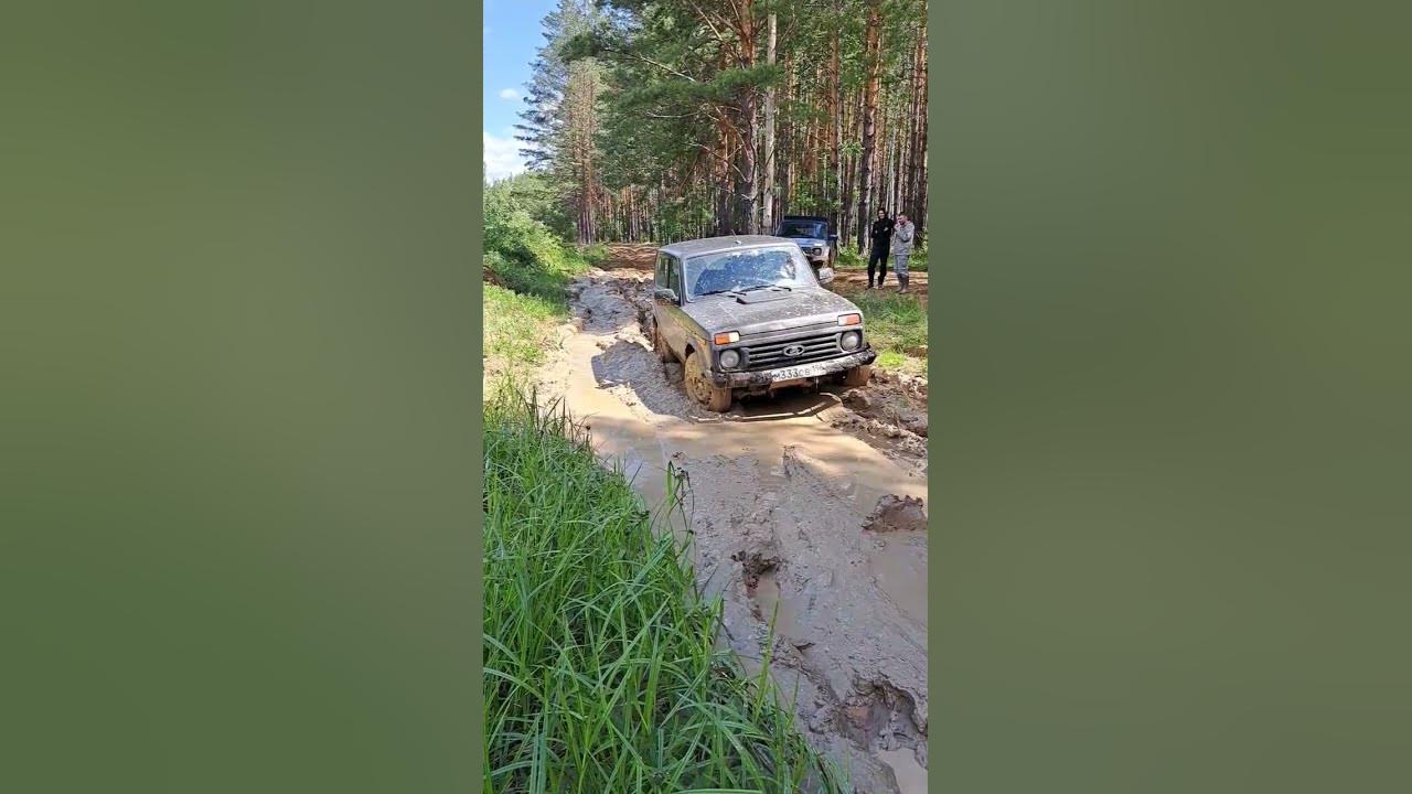 Нива на ВЛИ 10 по бездорожью