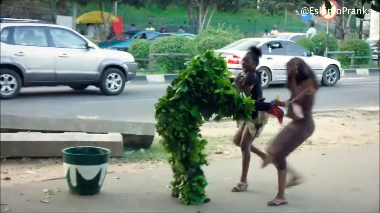 Bushman prank new episodes youtube