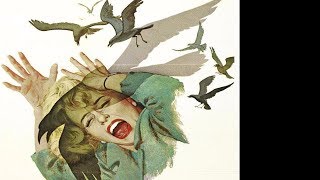 Los pajaros 1963 de Alfred Hitchcock Terror Animales Pajaros