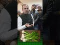 Home Remedy for High BP | Green Juice Benefits | Acharya Manish Ji | HiiMS