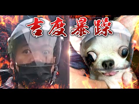 吉 度 暴 躁｜2024年度你在大聲什麼啦合集上集｜台灣行車影像合集｜（資訊欄有每一部的連結，觀看前請務必開啟音量鍵；易怒、躁鬱人格慎入)