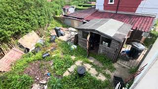 Starting a Complete Garden Makeover From 0 | Overgrown Garden Cleanup Begins!