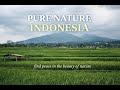 Indonesia’s Natural Beauty | Cinematic Drone View