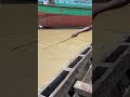 Unique catching fish with hook from the Padma River 🐟🔥