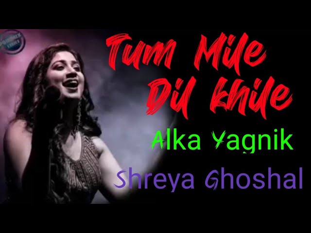 Tum Mile Dil Khile - Shreya Ghoshal | Alka Yagnik | Lyrics | Female Version | @Mrpoul