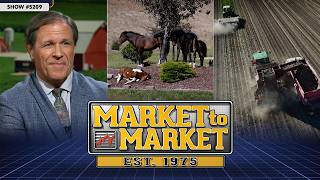 Harvest Pressure, Pricey Diesel and Montana’s Neighborhood Horses