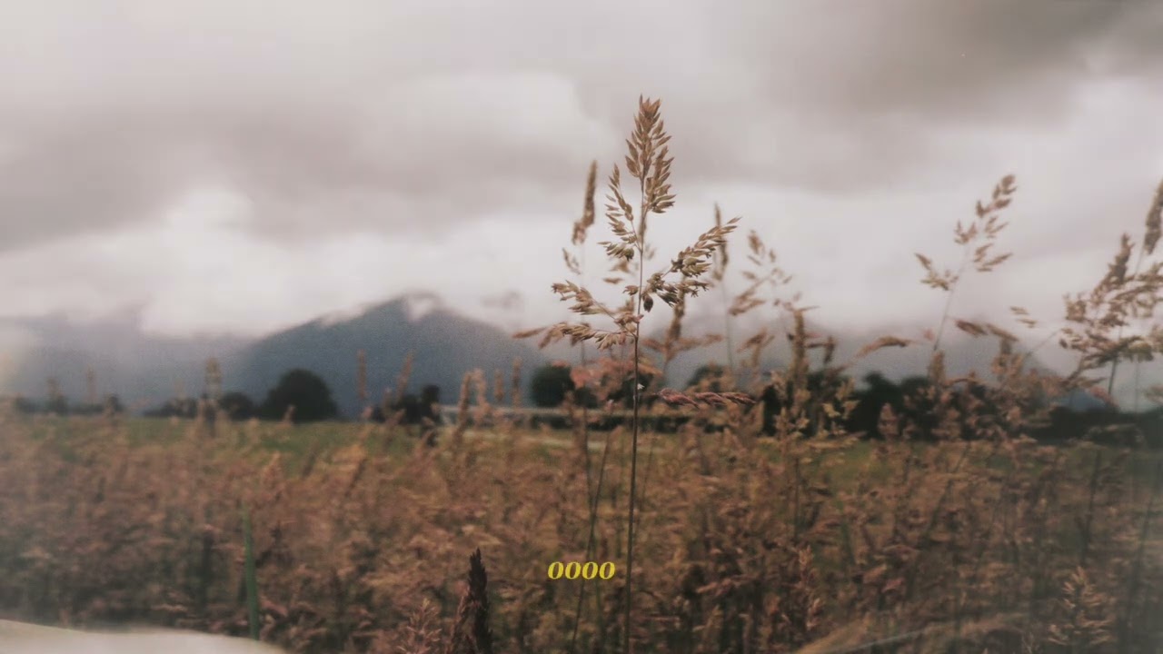 Watch Fin Amour - Petals (Official Visualizer) on YouTube Watch Fin Amour - Petals (Official Visualizer) on YouTube