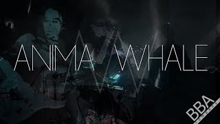 Anima Whale [emergenza live]