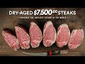 I tried to Dry-Age $7,500 Steaks and this happened!