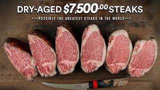 I tried to Dry-Age $7,500 Steaks and this happened!