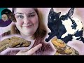 Meet My Weird Animal Family | My Pets 2019 - 2020