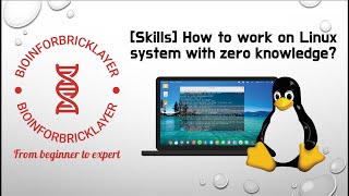 【Bioinformatics | Skills 01】 How to work on Linux system with zero knowledge?
