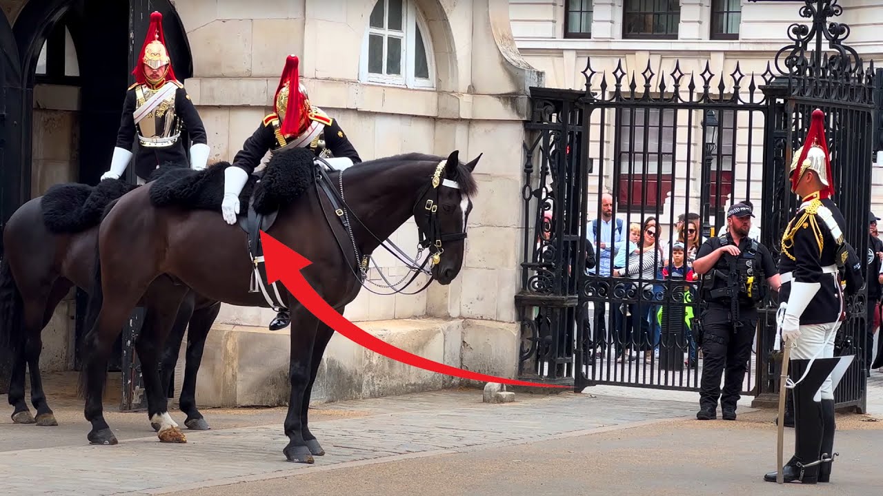 Guards SLAP theirs Horses 🐴before DISMOUNTING ! YouTube