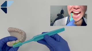 Poetsen Met Een Handtandenborstel