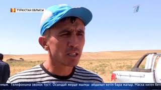 Түркістан облысында соңғы жарты жылда 150 жылқы ұрланған