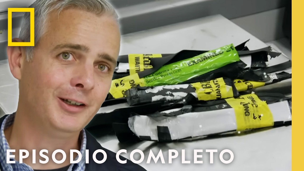 Equipaje Bajo Sospecha | Traficantes: Estados Unidos | Nat Geo en Español