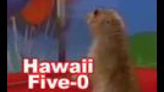 Dramatic Prairie Dog - Hawaii Five-0 Remix
