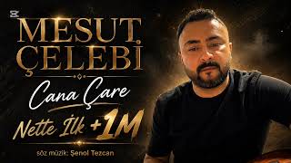 Mesut Çelebi : Cana Çare
