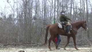 Version 2 of the video