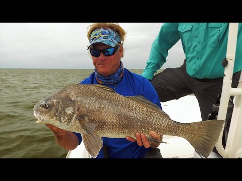 Buras Louisiana Inshore Fishing for Black Drum and Red Drum