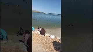 #fishing #almeria #patos #playa #galiza #beach #garrapatas #verano #cantabria