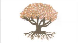 Banda do Mar - Vamo Embora