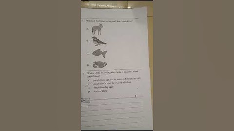 silverzone  science olympiad class 5 20 dec 2023 question paper set CC