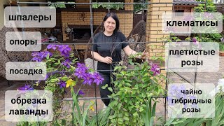 Шпалеры (опоры) для клематисов и плетистых роз. Хроники 05.06.2022г. 102й день.