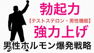 テストステロンと勃起力を強力に上げる男性ホルモン爆発戦略【性行為に自信】