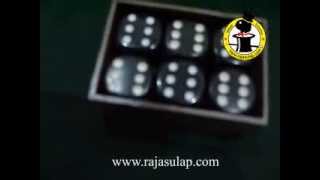 Dynamic Dice 2 Magic Trick - ws.magic